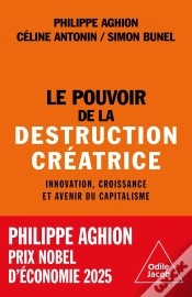 Capa do artigo Le Pouvoir De La Destruction Créatrice