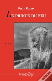 Capa do artigo Le Prince Du Feu