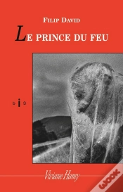 Capa do artigo Le Prince Du Feu