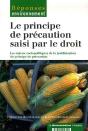 Le Principe De Précaution Saisi Par Le Droit - Preview