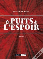 Capa do artigo Le Puits De L