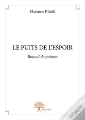 Capa do artigo Le Puits De L