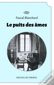 Capa do artigo Le Puits Des Âmes