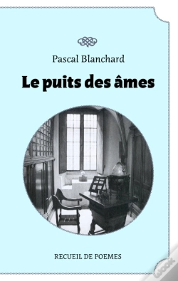 Capa do artigo Le Puits Des Âmes