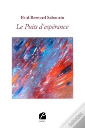 Capa do artigo Le Puits D