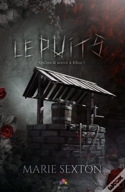 Capa do artigo Le Puits