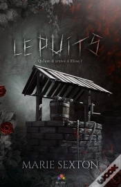 Capa do artigo Le Puits