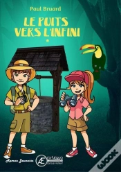 Capa do artigo Le Puits Vers L