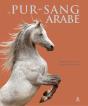 Le Pur-Sang Arabe - Preview