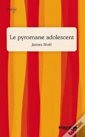 Capa do artigo Le Pyromane Adolescent
