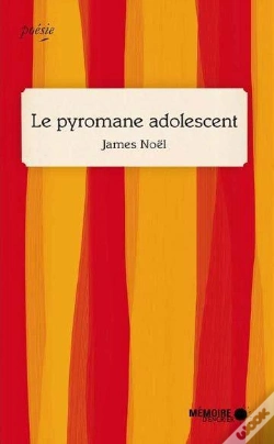 Capa do artigo Le Pyromane Adolescent