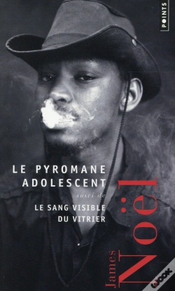 Capa do artigo Le Pyromane Adolescent ; Le Sang Visible Du Vitrier