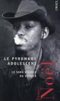 Le Pyromane Adolescent ; Le Sang Visible Du Vitrier - Preview