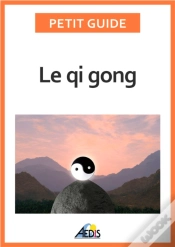 Capa do artigo Le Qi Gong