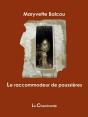 Le Raccommodeur De Poussières - Preview