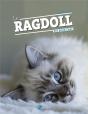 Le Ragdoll - Preview