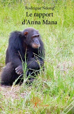 Capa do artigo Le Rapport D'Anna Mana