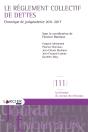 Le Règlement Collectif De Dettes ; Chronique De Jurisprudence 2011-2017 - Preview