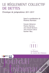 Le Règlement Collectif De Dettes ; Chronique De Jurisprudence 2011-2017