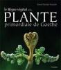 Le Règne Végétal De La Plante Primordiale De Goethe - Preview