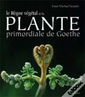 Le Règne Végétal De La Plante Primordiale De Goethe