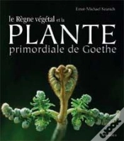 Capa do artigo Le Règne Végétal De La Plante Primordiale De Goethe