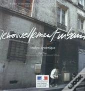 Le Renouvellement Urbain Analyse Systemique Coll Recherches N 141