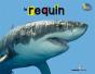 Le Requin - Preview