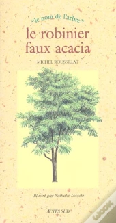 Le Robinier Faux Acacia