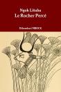 Le Rocher Perce - Preview