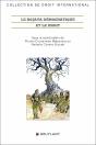 Le Rojava Démocratique Et Le Droit - Preview