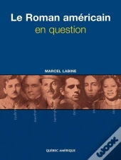 Le Roman Americain En Question
