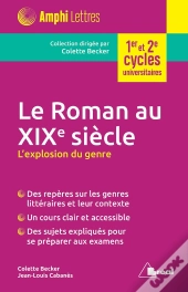 Le Roman Au Xixe Siècle ; L'Explosion Du Genre