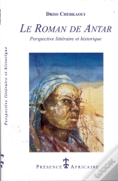 Le Roman De Antar ; Perspective Litteraire Et Historique