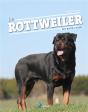 Le Rottweiler - Preview