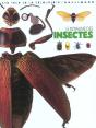 Le Royaume Des Insectes - Preview