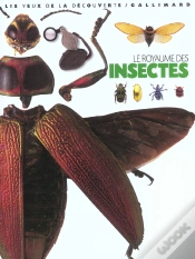 Capa do artigo Le Royaume Des Insectes
