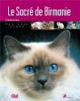Le Sacré De Birmanie - Preview