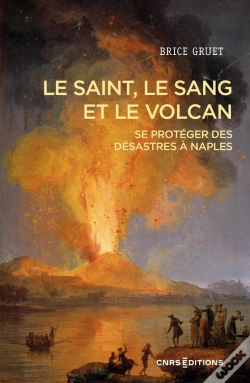 Capa do artigo Le Saint, Le Sang Et Le Volcan - Se Protéger Des Désastres À Naples