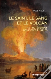 Capa do artigo Le Saint, Le Sang Et Le Volcan - Se Protéger Des Désastres À Naples