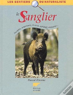 Capa do artigo Le Sanglier