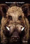 Le Sanglier