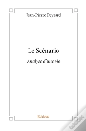Capa do artigo Le Scénario : Analyse D