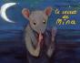 Le Secret De Mina - Preview