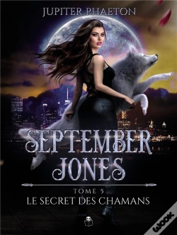 Capa do artigo Le Secret Des Chamans