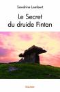 Le Secret Du Druide Fintan - Preview