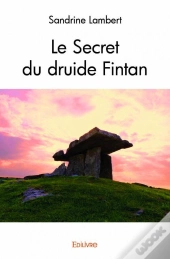 Le Secret Du Druide Fintan