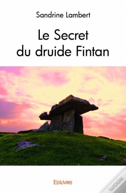 Capa do artigo Le Secret Du Druide Fintan