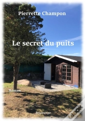 Capa do artigo Le Secret Du Puits