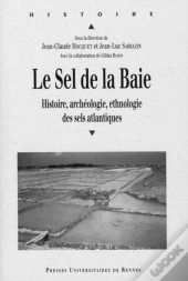 Le Sel De La Baie ; Histoire, Archéologie, Ethnologie Des Sels Atlantiques